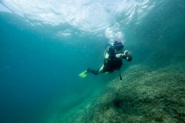 197254468_4327977950548659_1288903056308087225_n