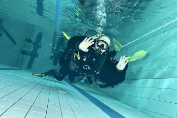 331313971_562310069003363_6814218198242707752_n