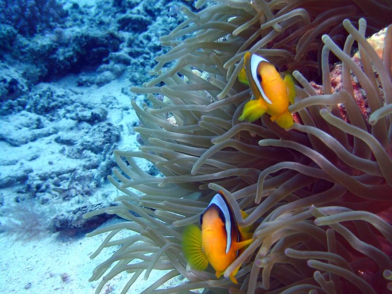 463030172_8859739114039164_584016148740212604_n