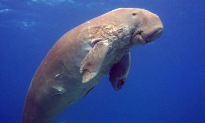 463086561_8859739084039167_1877843436087233706_n