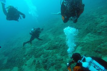 465276926_8975034975842910_8879322912140008978_n