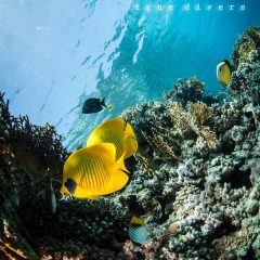 465818932_9015065511839856_7010580783804641248_n