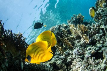 465818932_9015065511839856_7010580783804641248_n