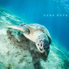 465905555_9015065285173212_1944292621451154646_n